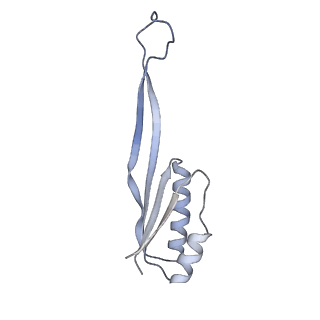 10396_6t7i_SU_v1-2
Structure of yeast 80S ribosome stalled on the CGA-CGA inhibitory codon combination.