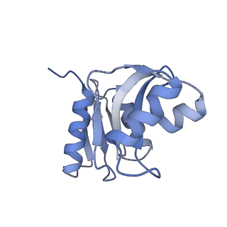 10396_6t7i_SW_v1-2
Structure of yeast 80S ribosome stalled on the CGA-CGA inhibitory codon combination.