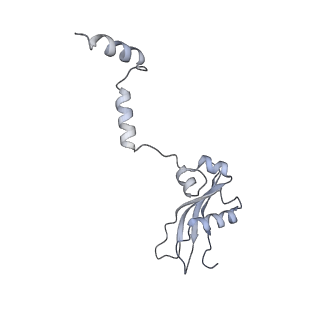 10396_6t7i_SY_v1-2
Structure of yeast 80S ribosome stalled on the CGA-CGA inhibitory codon combination.