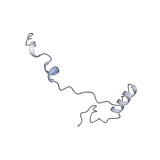 10396_6t7i_Se_v1-2
Structure of yeast 80S ribosome stalled on the CGA-CGA inhibitory codon combination.