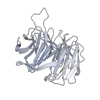 10396_6t7i_Sg_v1-2
Structure of yeast 80S ribosome stalled on the CGA-CGA inhibitory codon combination.