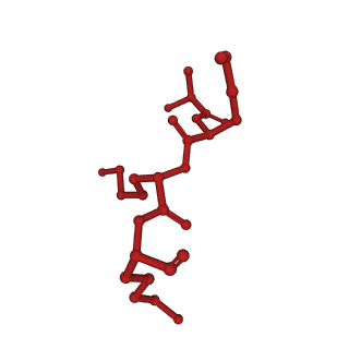 10397_6t7t_A_v1-1
Structure of yeast 80S ribosome stalled on poly(A) tract.
