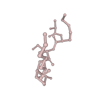 10397_6t7t_A_v2-0
Structure of yeast 80S ribosome stalled on poly(A) tract.