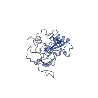 10397_6t7t_LA_v1-1
Structure of yeast 80S ribosome stalled on poly(A) tract.