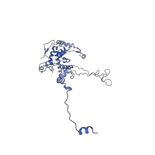 10397_6t7t_LC_v1-1
Structure of yeast 80S ribosome stalled on poly(A) tract.