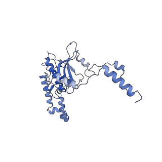 10397_6t7t_LD_v1-1
Structure of yeast 80S ribosome stalled on poly(A) tract.