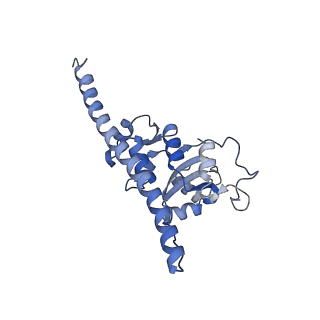 10397_6t7t_LF_v1-1
Structure of yeast 80S ribosome stalled on poly(A) tract.