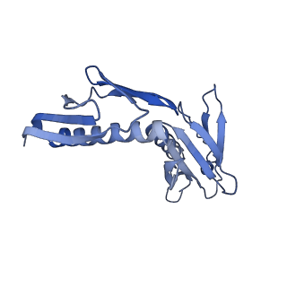 10397_6t7t_LH_v1-1
Structure of yeast 80S ribosome stalled on poly(A) tract.