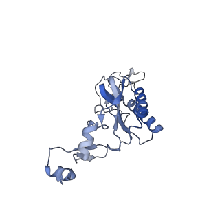 10397_6t7t_LI_v1-1
Structure of yeast 80S ribosome stalled on poly(A) tract.
