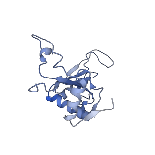 10397_6t7t_LJ_v1-1
Structure of yeast 80S ribosome stalled on poly(A) tract.