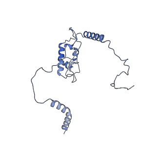 10397_6t7t_LL_v1-1
Structure of yeast 80S ribosome stalled on poly(A) tract.