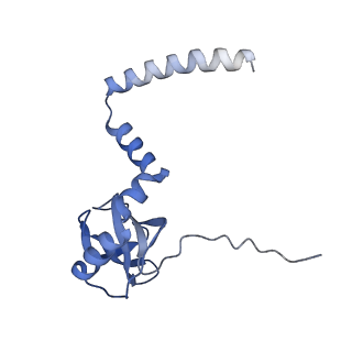 10397_6t7t_LM_v1-1
Structure of yeast 80S ribosome stalled on poly(A) tract.