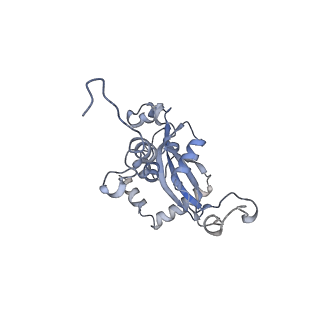 10397_6t7t_LN_v1-1
Structure of yeast 80S ribosome stalled on poly(A) tract.
