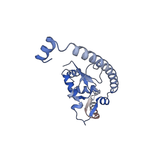 10397_6t7t_LO_v1-1
Structure of yeast 80S ribosome stalled on poly(A) tract.