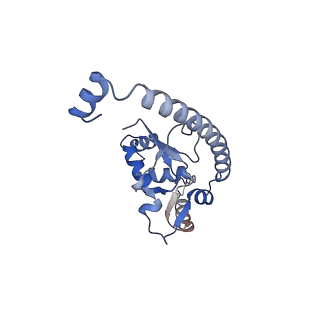 10397_6t7t_LO_v2-0
Structure of yeast 80S ribosome stalled on poly(A) tract.