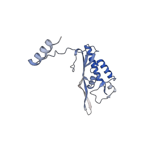 10397_6t7t_LP_v1-1
Structure of yeast 80S ribosome stalled on poly(A) tract.