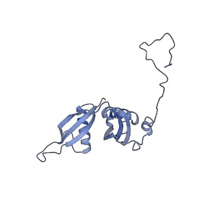 10397_6t7t_LS_v1-1
Structure of yeast 80S ribosome stalled on poly(A) tract.