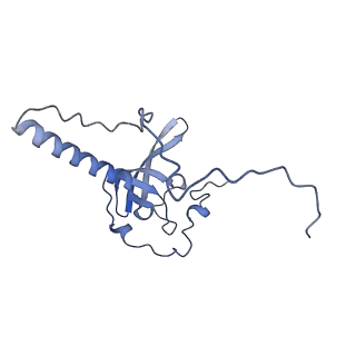 10397_6t7t_LT_v1-1
Structure of yeast 80S ribosome stalled on poly(A) tract.