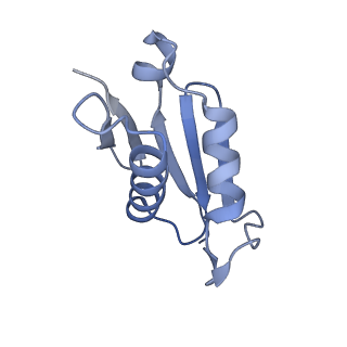 10397_6t7t_LU_v1-1
Structure of yeast 80S ribosome stalled on poly(A) tract.