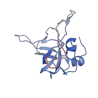 10397_6t7t_LV_v1-1
Structure of yeast 80S ribosome stalled on poly(A) tract.