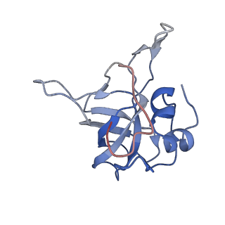 10397_6t7t_LV_v2-0
Structure of yeast 80S ribosome stalled on poly(A) tract.