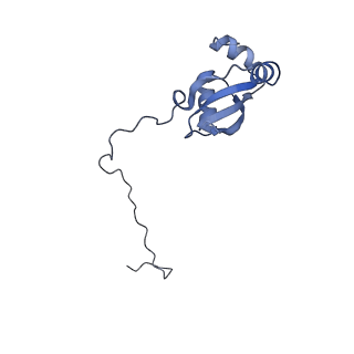 10397_6t7t_LX_v1-1
Structure of yeast 80S ribosome stalled on poly(A) tract.