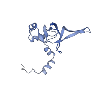 10397_6t7t_LY_v1-1
Structure of yeast 80S ribosome stalled on poly(A) tract.