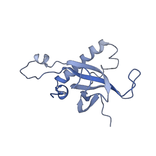 10397_6t7t_LZ_v1-1
Structure of yeast 80S ribosome stalled on poly(A) tract.