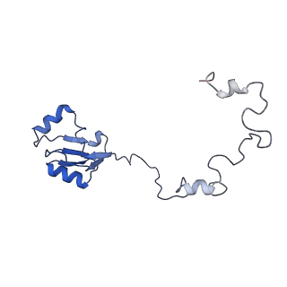 10397_6t7t_La_v1-1
Structure of yeast 80S ribosome stalled on poly(A) tract.