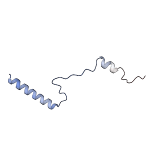 10397_6t7t_Lb_v1-1
Structure of yeast 80S ribosome stalled on poly(A) tract.