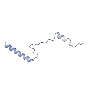 10397_6t7t_Lb_v2-0
Structure of yeast 80S ribosome stalled on poly(A) tract.