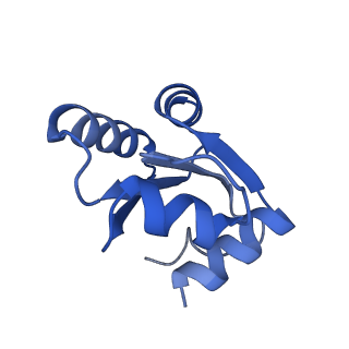 10397_6t7t_Lc_v2-0
Structure of yeast 80S ribosome stalled on poly(A) tract.