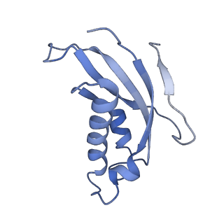 10397_6t7t_Ld_v1-1
Structure of yeast 80S ribosome stalled on poly(A) tract.