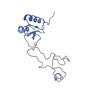 10397_6t7t_Le_v1-1
Structure of yeast 80S ribosome stalled on poly(A) tract.