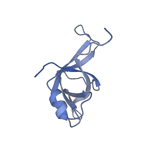10397_6t7t_Lf_v1-1
Structure of yeast 80S ribosome stalled on poly(A) tract.