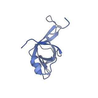 10397_6t7t_Lf_v2-0
Structure of yeast 80S ribosome stalled on poly(A) tract.