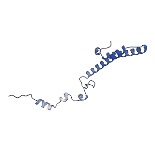 10397_6t7t_Lh_v1-1
Structure of yeast 80S ribosome stalled on poly(A) tract.