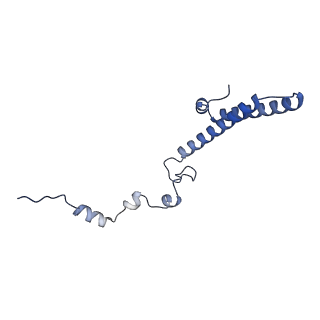 10397_6t7t_Lh_v2-0
Structure of yeast 80S ribosome stalled on poly(A) tract.