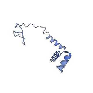 10397_6t7t_Li_v1-1
Structure of yeast 80S ribosome stalled on poly(A) tract.