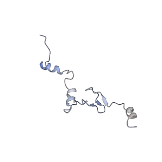 10397_6t7t_Lj_v1-1
Structure of yeast 80S ribosome stalled on poly(A) tract.