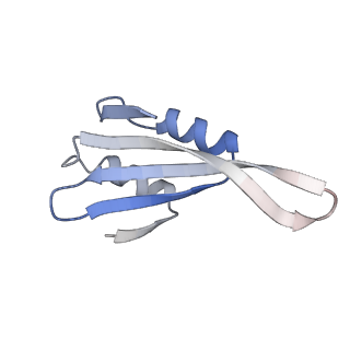 10397_6t7t_Lk_v1-1
Structure of yeast 80S ribosome stalled on poly(A) tract.