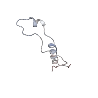 10397_6t7t_Ll_v1-1
Structure of yeast 80S ribosome stalled on poly(A) tract.