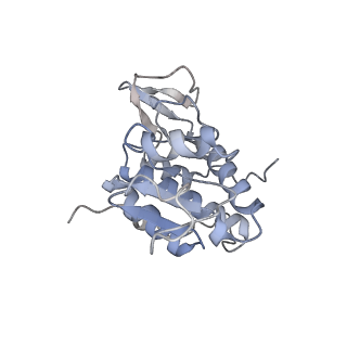 10397_6t7t_SA_v1-1
Structure of yeast 80S ribosome stalled on poly(A) tract.