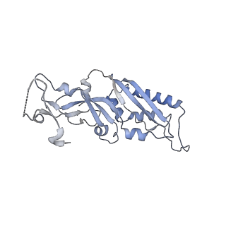 10397_6t7t_SB_v1-1
Structure of yeast 80S ribosome stalled on poly(A) tract.