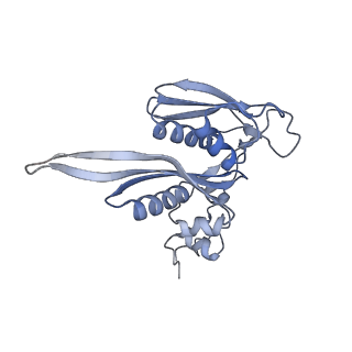 10397_6t7t_SC_v1-1
Structure of yeast 80S ribosome stalled on poly(A) tract.