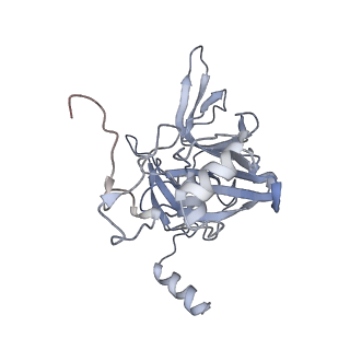 10397_6t7t_SE_v1-1
Structure of yeast 80S ribosome stalled on poly(A) tract.