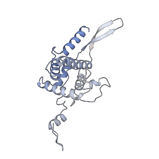 10397_6t7t_SF_v1-1
Structure of yeast 80S ribosome stalled on poly(A) tract.