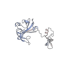 10397_6t7t_SG_v1-1
Structure of yeast 80S ribosome stalled on poly(A) tract.