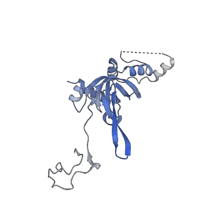 10397_6t7t_SI_v1-1
Structure of yeast 80S ribosome stalled on poly(A) tract.