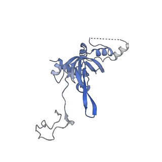 10397_6t7t_SI_v2-0
Structure of yeast 80S ribosome stalled on poly(A) tract.